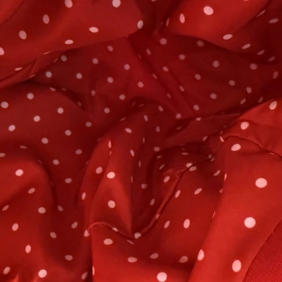 The Limited Red Single Button Blazer Polka Dot Lining M Preppy Academia 89-28 - Picture 11 of 13